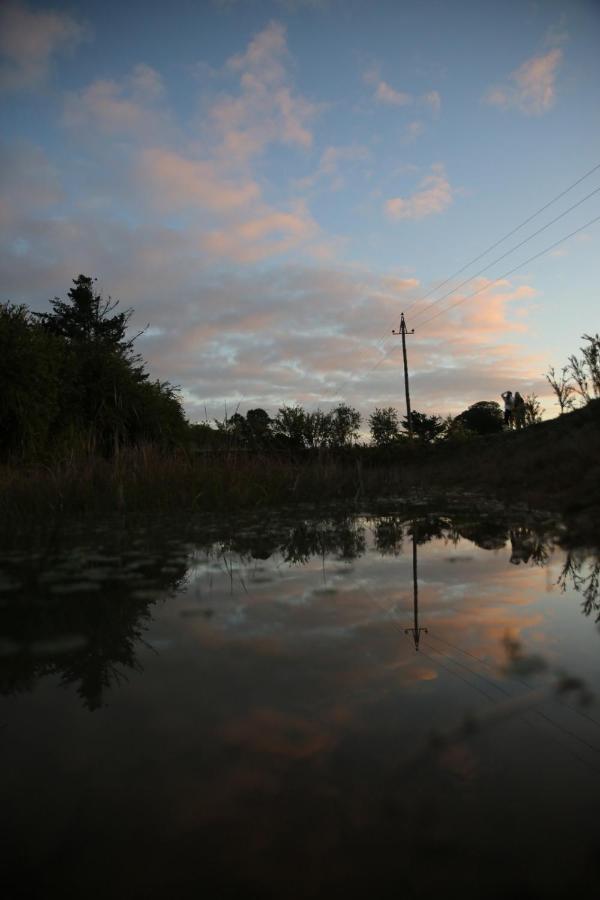 The Wild Edge First Light Cottage Knysna Exterior photo